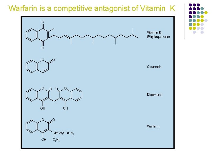 Warfarin is a competitive antagonist of Vitamin K Scully, M. The Biochemist, 2002 