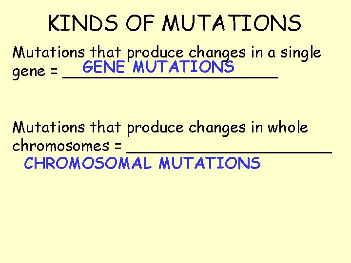 KINDS OF MUTATIONS Mutations that produce changes in a single GENE MUTATIONS gene =