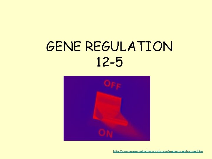 GENE REGULATION 12 -5 http: //www. awesomebackgrounds. com/s-energy-and-power. htm 