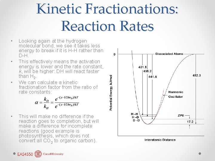 Kinetic Fractionations: Reaction Rates • • Looking again at the hydrogen molecular bond, we