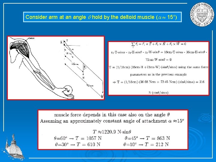 Consider arm at an angle q hold by the deltoid muscle (a 15°) 
