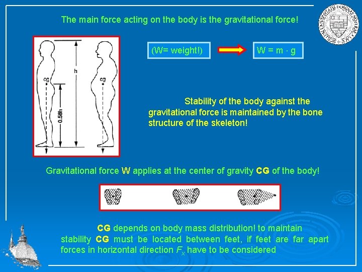 The main force acting on the body is the gravitational force! (W= weight!) W=m