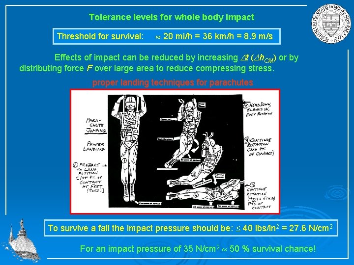 Tolerance levels for whole body impact Threshold for survival: 20 mi/h = 36 km/h