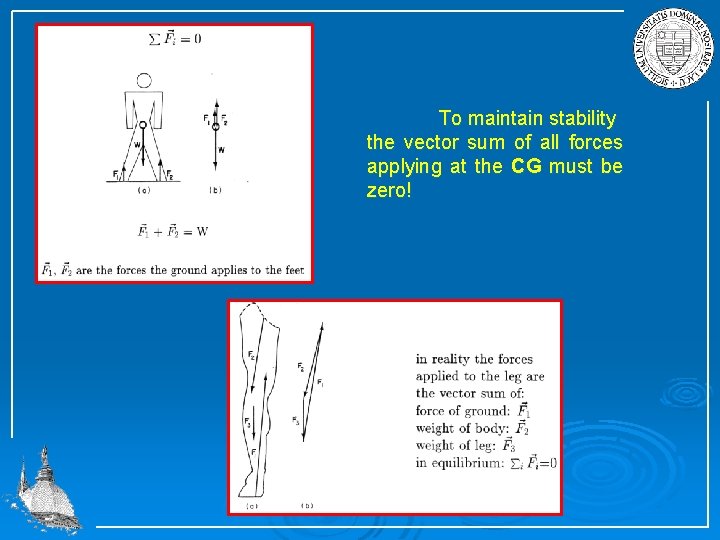 To maintain stability the vector sum of all forces applying at the CG must
