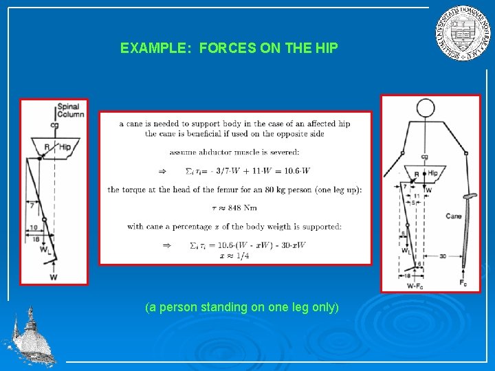 EXAMPLE: FORCES ON THE HIP (a person standing on one leg only) 