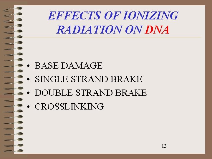 EFFECTS OF IONIZING RADIATION ON DNA • • BASE DAMAGE SINGLE STRAND BRAKE DOUBLE