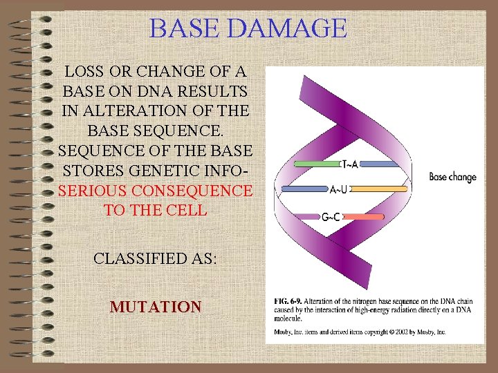 BASE DAMAGE LOSS OR CHANGE OF A BASE ON DNA RESULTS IN ALTERATION OF