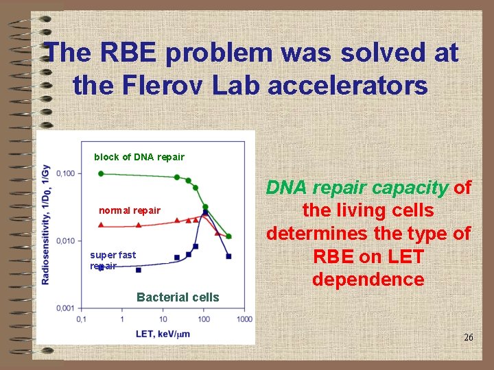 The RBE problem was solved at the Flerov Lab accelerators block of DNA repair