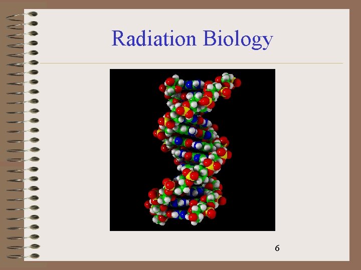 Radiation Biology 6 