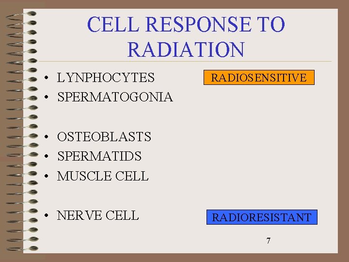 CELL RESPONSE TO RADIATION • LYNPHOCYTES • SPERMATOGONIA RADIOSENSITIVE • OSTEOBLASTS • SPERMATIDS •