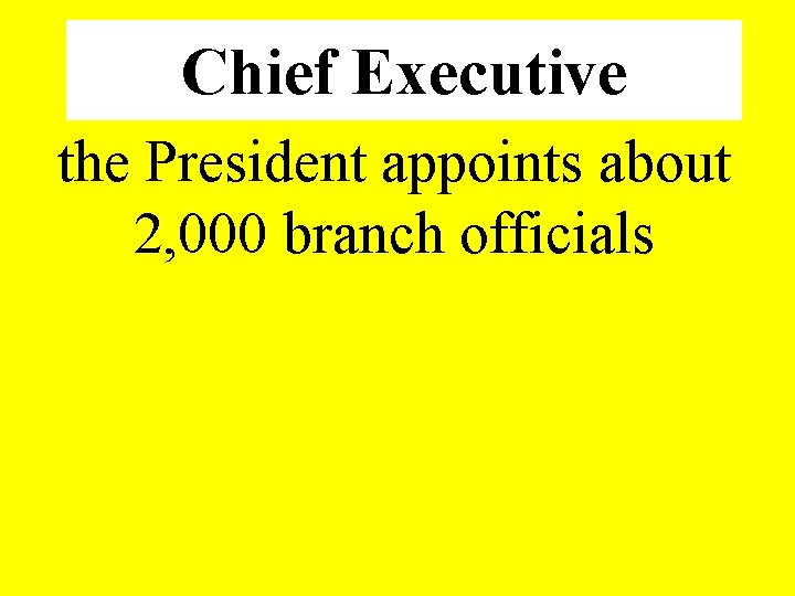 Chief Executive the President appoints about 2, 000 branch officials 