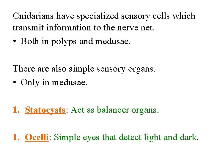 Cnidarians have specialized sensory cells which transmit information to the nerve net. • Both