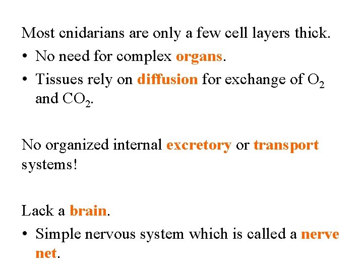 Most cnidarians are only a few cell layers thick. • No need for complex