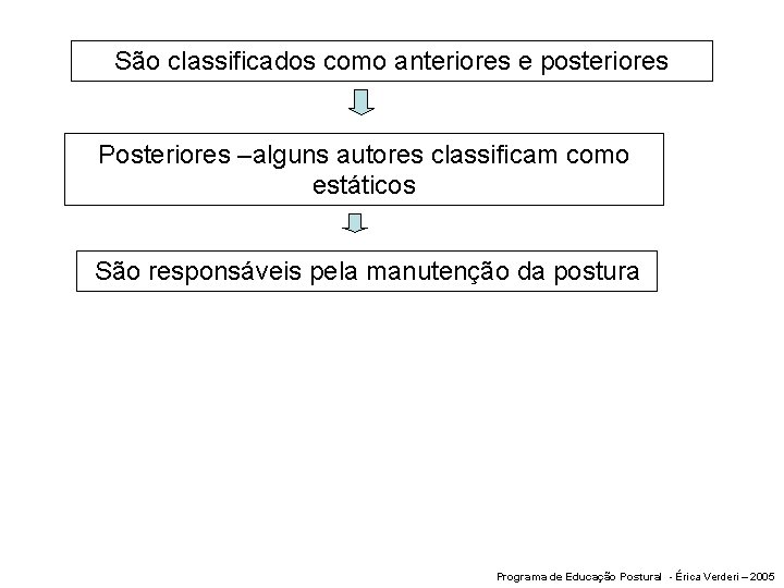 São classificados como anteriores e posteriores Posteriores –alguns autores classificam como estáticos São responsáveis