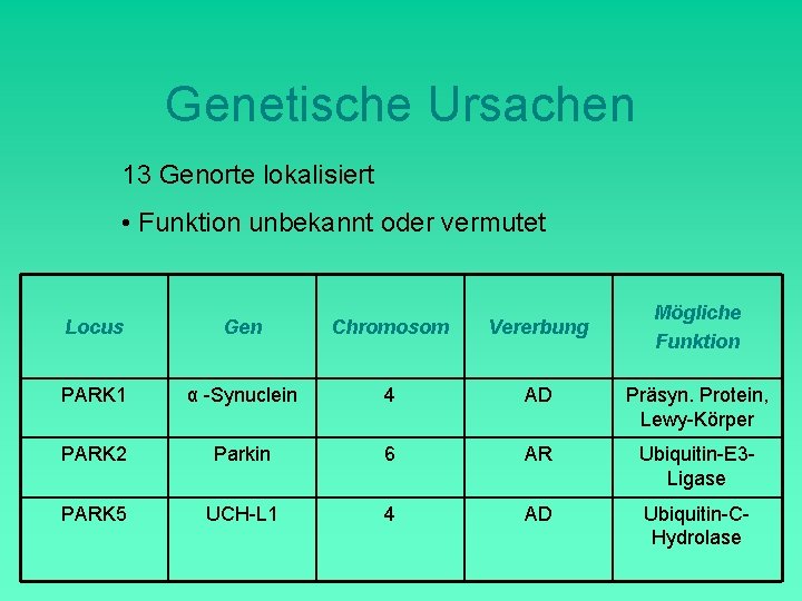 Genetische Ursachen 13 Genorte lokalisiert • Funktion unbekannt oder vermutet Mögliche Funktion Locus Gen