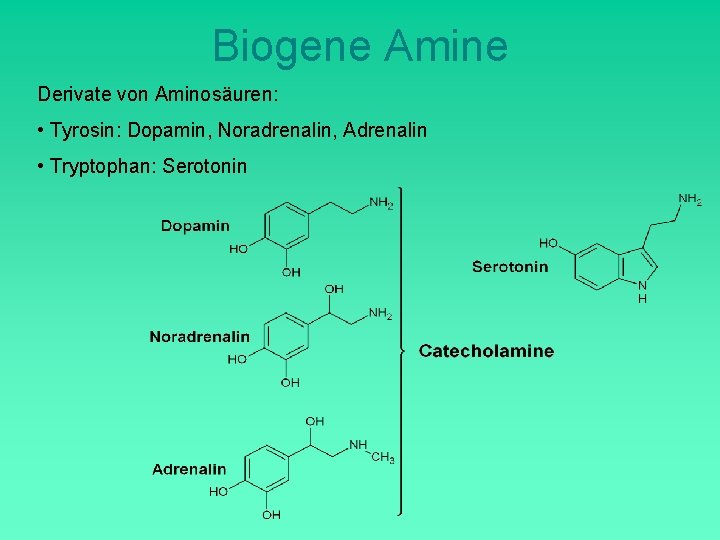Biogene Amine Derivate von Aminosäuren: • Tyrosin: Dopamin, Noradrenalin, Adrenalin • Tryptophan: Serotonin 