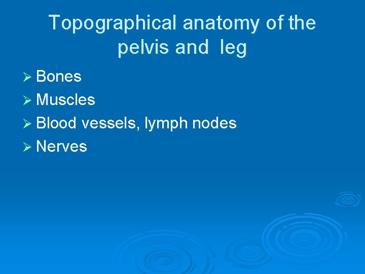 Topographical anatomy of the pelvis and leg Ø Bones Ø Muscles Ø Blood vessels,