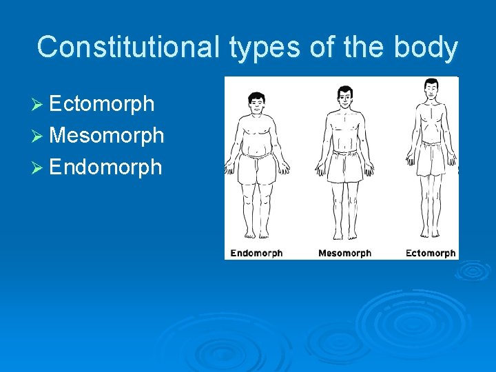 Constitutional types of the body Ø Ectomorph Ø Mesomorph Ø Endomorph 