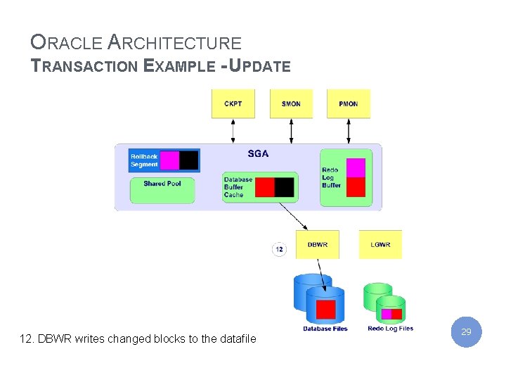 IBM India Private Limited ORACLE ARCHITECTURE TRANSACTION EXAMPLE - UPDATE 12. DBWR writes changed