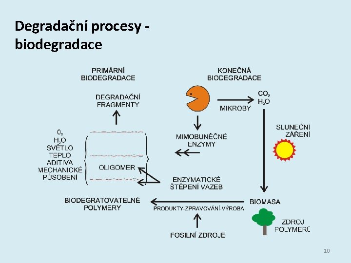 Degradační procesy biodegradace 10 