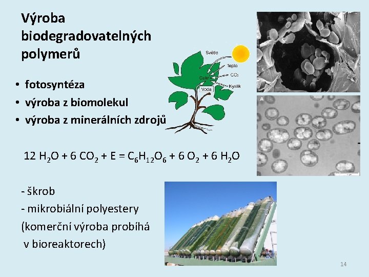 Výroba biodegradovatelných polymerů • fotosyntéza • výroba z biomolekul • výroba z minerálních zdrojů