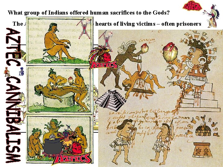 What group of Indians offered human sacrifices to the Gods? The AZTECS – cutting