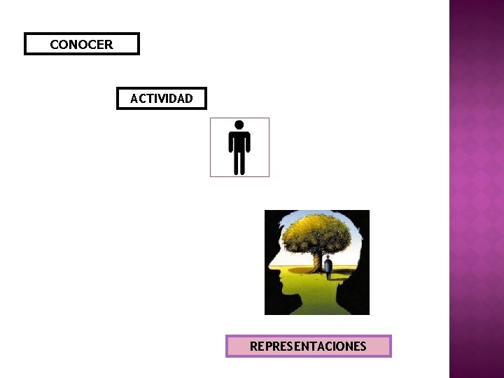 CONOCER ACTIVIDAD REPRESENTACIONES 