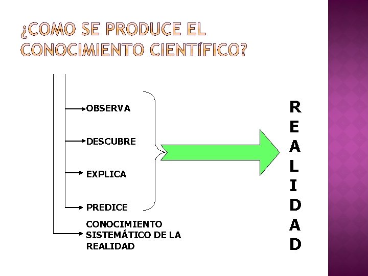 OBSERVA DESCUBRE EXPLICA PREDICE CONOCIMIENTO SISTEMÁTICO DE LA REALIDAD R E A L I