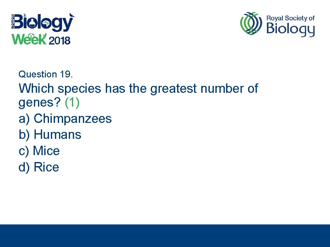 Question 19. Which species has the greatest number of genes? (1) a) Chimpanzees b)