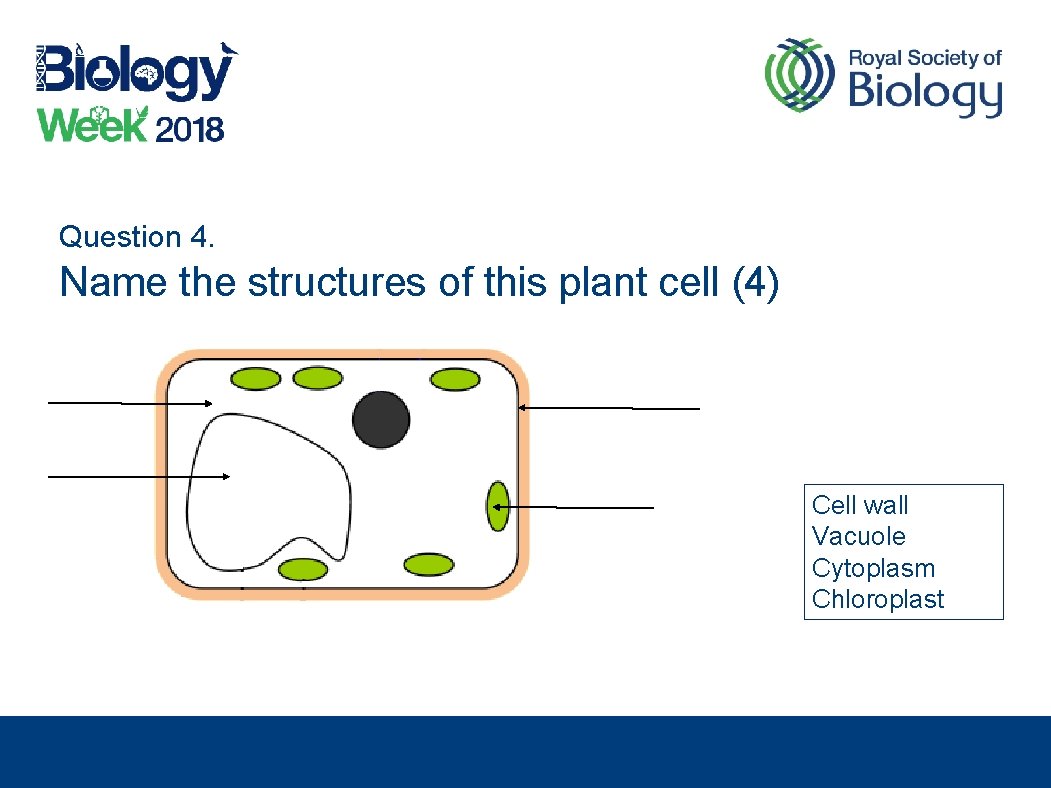 Question 4. Name the structures of this plant cell (4) Cell wall Vacuole Cytoplasm