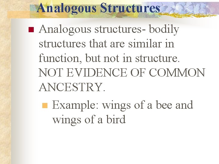 Analogous Structures n Analogous structures- bodily structures that are similar in function, but not