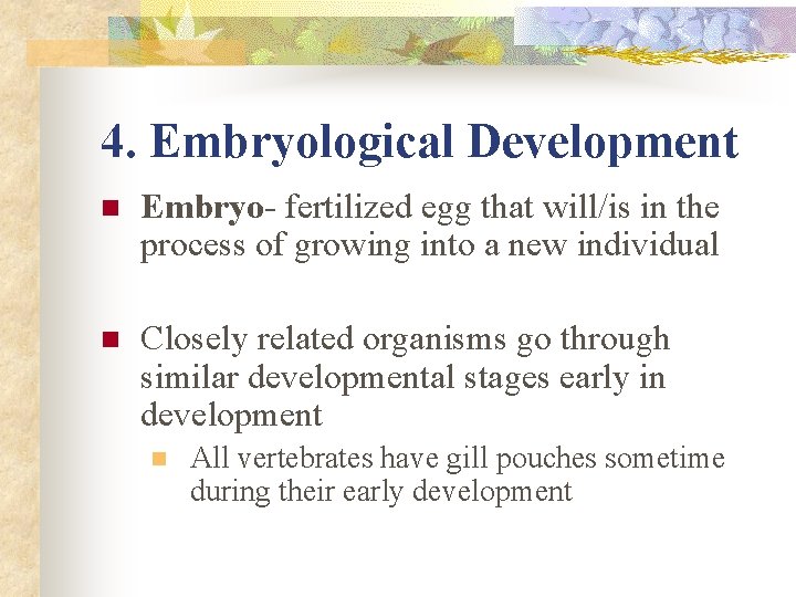 4. Embryological Development n Embryo- fertilized egg that will/is in the process of growing