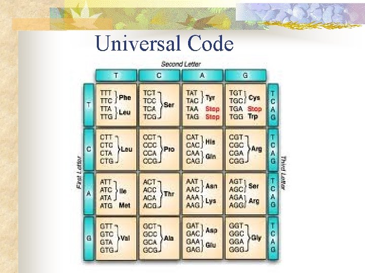 Universal Code 