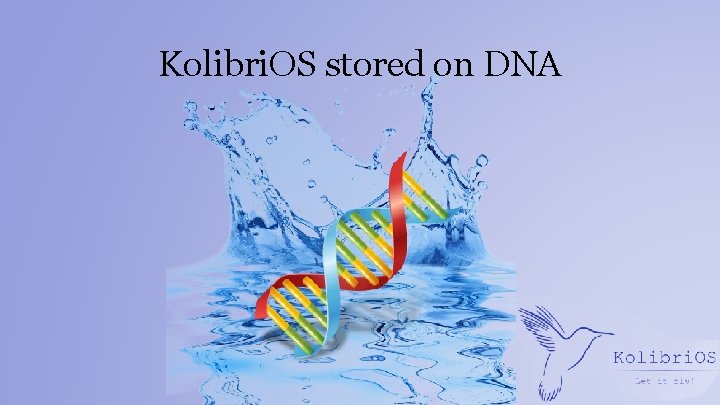 Kolibri. OS stored on DNA 