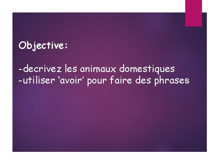 Objective: -decrivez les animaux domestiques -utiliser ‘avoir’ pour faire des phrases 