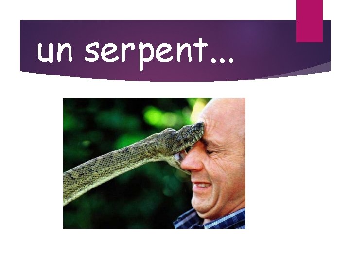 un serpent. . . 