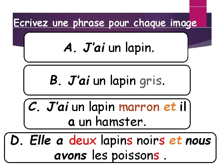 Ecrivez une phrase pour chaque image A. J’ai un lapin. B. J’ai un lapin