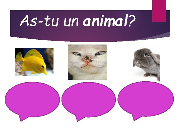 As-tu un animal? 