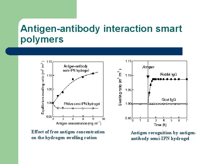 Antigen-antibody interaction smart polymers Effect of free antigen concentration on the hydrogen swelling ration