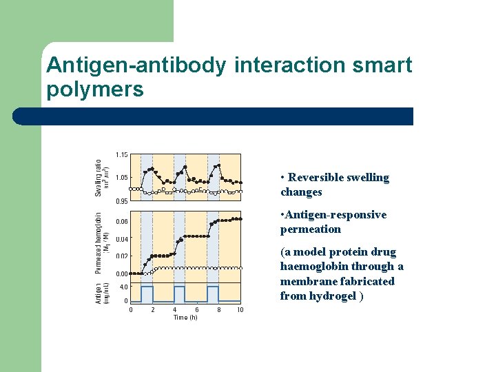 Antigen-antibody interaction smart polymers • Reversible swelling changes • Antigen-responsive permeation (a model protein