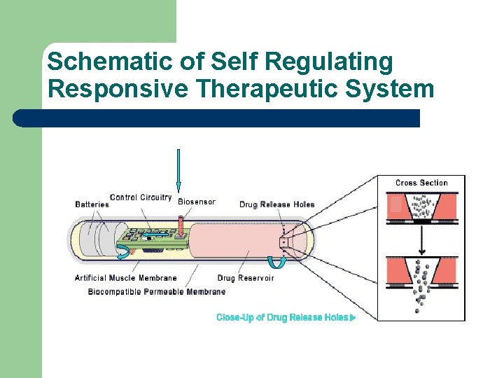Schematic of Self Regulating Responsive Therapeutic System 