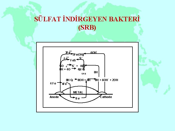 SÜLFAT İNDİRGEYEN BAKTERİ (SRB) ++ 3 Fe ++ Fe - 6 OH 3 Fe(OH)