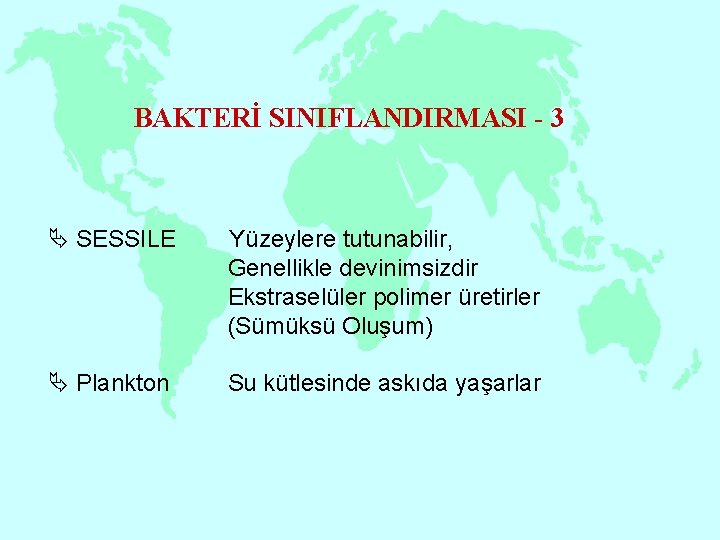 BAKTERİ SINIFLANDIRMASI - 3 Ä SESSILE Yüzeylere tutunabilir, Genellikle devinimsizdir Ekstraselüler polimer üretirler (Sümüksü