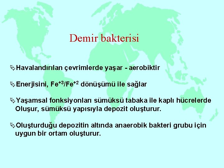 Demir bakterisi ÄHavalandırılan çevrimlerde yaşar - aerobiktir ÄEnerjisini, Fe+3/Fe+2 dönüşümü ile sağlar ÄYaşamsal fonksiyonları