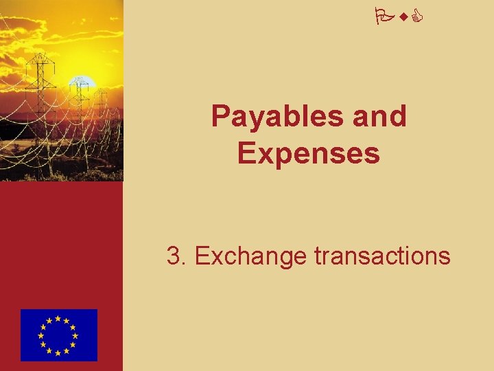 Pw. C Payables and Expenses 3. Exchange transactions 