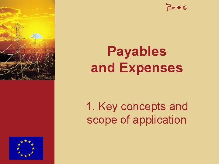 Pw. C Payables and Expenses 1. Key concepts and scope of application 