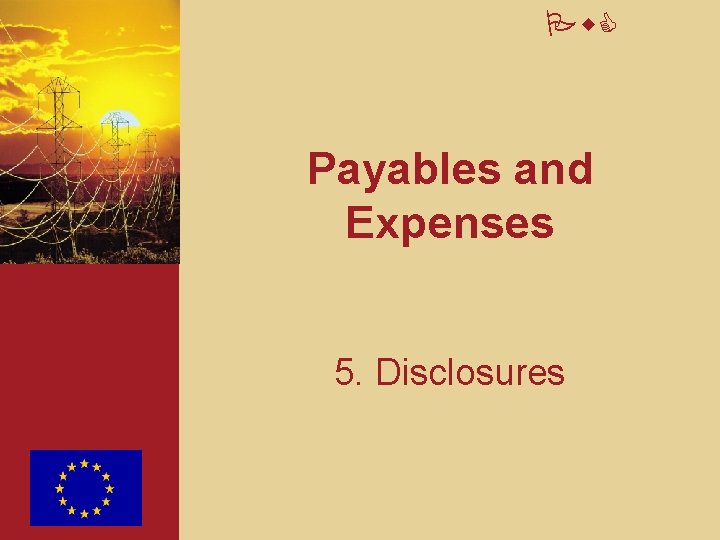 Pw. C Payables and Expenses 5. Disclosures 