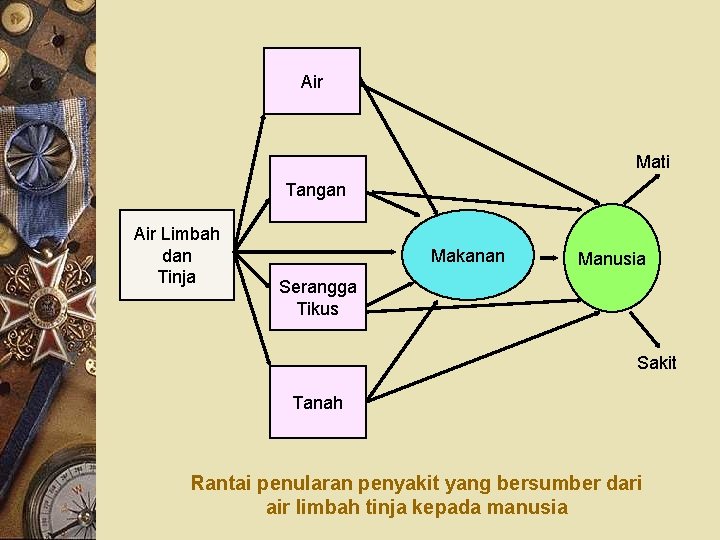 Air Mati Tangan Air Limbah dan Tinja Makanan Manusia Serangga Tikus Sakit Tanah Rantai