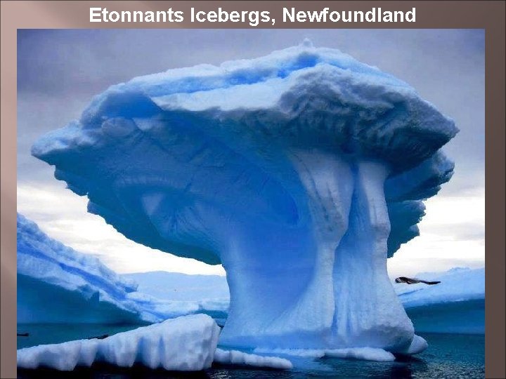 Etonnants Icebergs, Newfoundland 17 