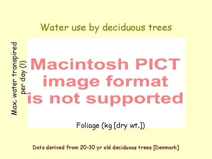 Max. water transpired per day (l) Water use by deciduous trees Foliage (kg [dry